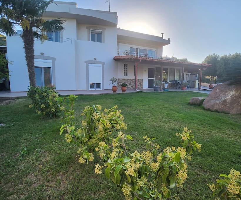 Вілла Lux House With Garden Kampos  Екстер'єр фото